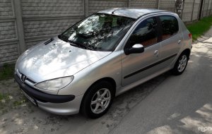 Peugeot 206 2005 №31006 купить в Киев