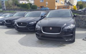 Jaguar F-Type 2017 №41731 купить в Ужгород