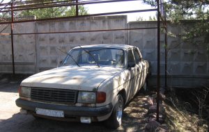 ГАЗ 31029 1993 №48288 купить в Киев